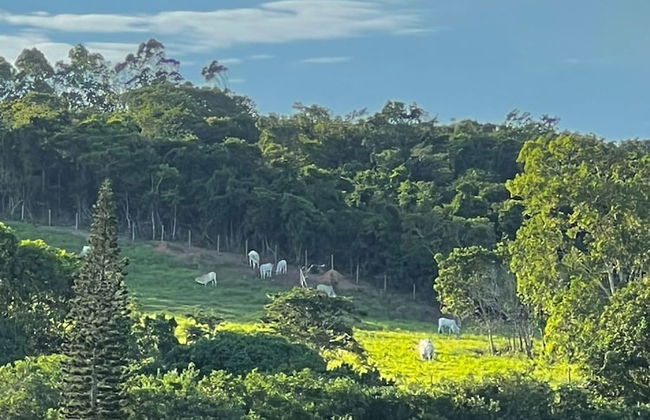 Refuge Brisa do Campo IG - Solar DO Campo - Foto 45