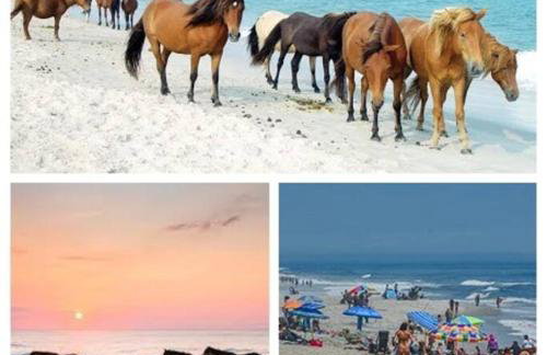 Foxes Den a Home in Ocean Pines - Foto 8