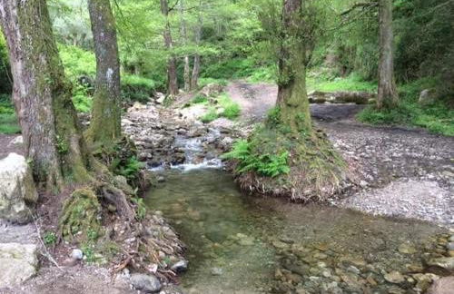 CALABRIA COLLINA DI SCILLA CASALE OSTELLO1800 SELF SERVICE GIARDINO STANZE E APPARTAMENTI PER FAMIGLIE COPPIE E SINGLE Melia Pzza S Gaetano 16 - Foto 52