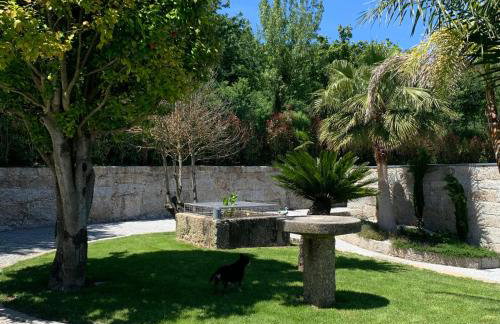 Quinta de Santa Ana, em Vizela - Foto 61