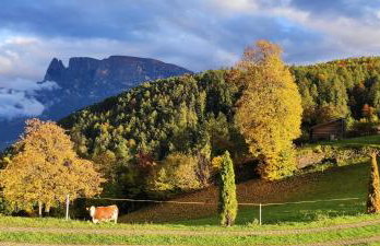 Aschnerhof Auf´m Egg - Photo 35