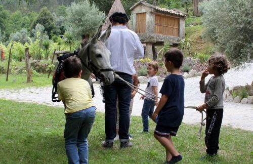 Moinhos Carvalhas - Foto 23