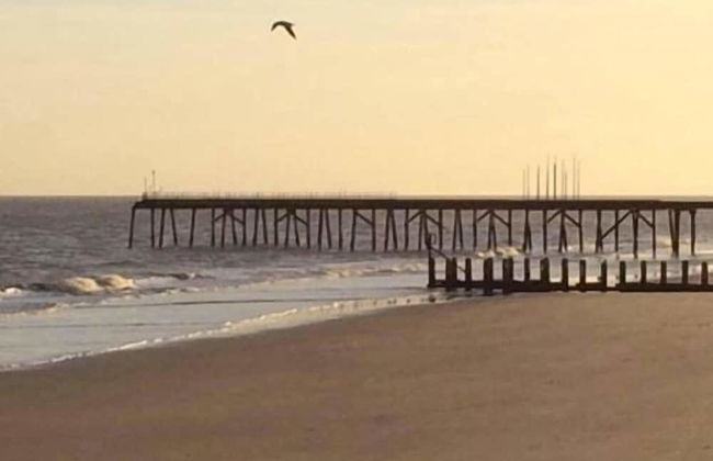 Moray Beachside Apartments - Foto 29