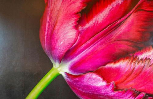 Swilken Lodge - Blacklaws Steading - Foto 32