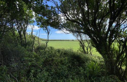 Arrowan Common Farm Cottages - Foto 41