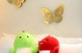 Acadia Farms Carriage house - Foto 9