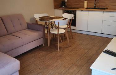 Zamiejska Modern Apartments NOWY APARTAMENTOWIEC WINDA - Photo 2