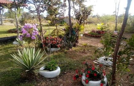 Recanto da Tia Lena - Foto 12