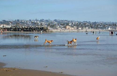 OB Loungin 2 - Foto 30