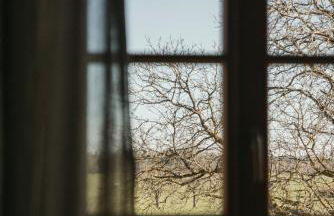 Staudingerhof - Photo 19