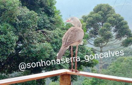 Bangalô Sonho na Serra - Foto 55