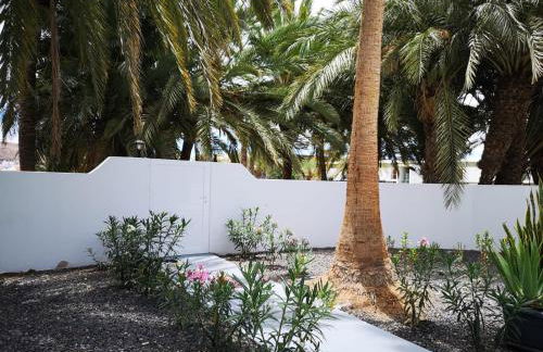 Estrella de Mar - Photo 35