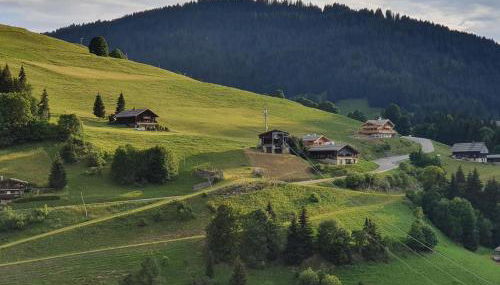 Appartement 2 pièces avec garage à La Clusaz, ski au pied - FR-1-459-169 - Foto 3