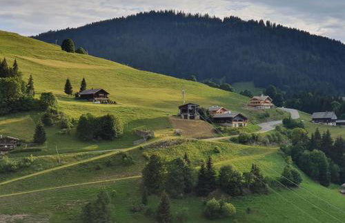 Appartement 2 pièces avec garage à La Clusaz, ski au pied - FR-1-459-169 - Foto 3