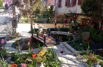 Studio Colmar avec jardin privatif - Foto 15