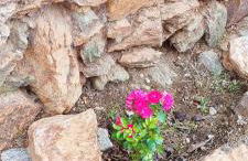 Casa Sardinha - Foto 51