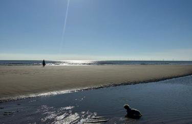 Fraunie's Beach House Anderby Creek - Dog friendly - Photo 24