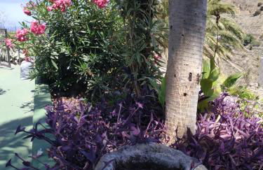 Finca Lomo Grande - Foto 5