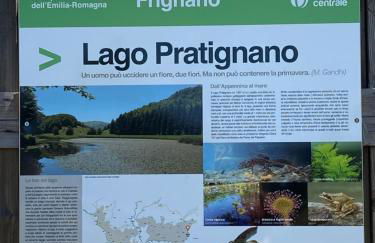 Ca’ Alba - Photo 57