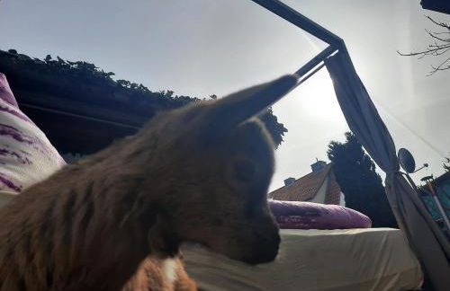 Home&Classic - Alte Werkstatt - Photo 23