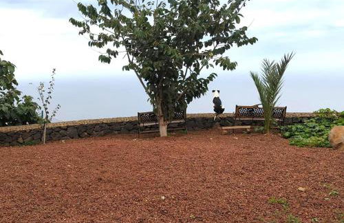 Holiday Home in Tenerife with Private Garden - Foto 26