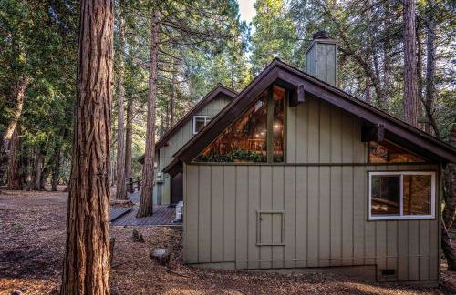 Trout River Cabin - Cozy Quiet Peaceful Retreat - Foto 55