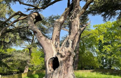 Masons Cottage, an Idyllic retreat in an area of outstanding beauty, close to Blenheim Palace, Oxford & The Cotswolds - Photo 29