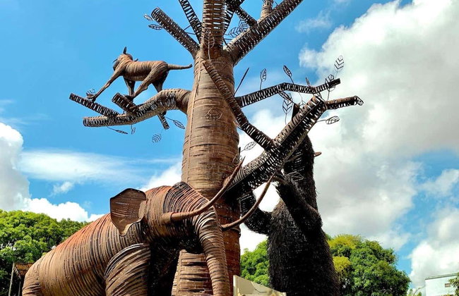 Tour por Teresina + Visita al Ponte Estaiada y Museo de Piauí - Foto 3