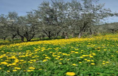 Elegant apartment in resort with swimming pool featuring nature and tranquillity - Foto 59