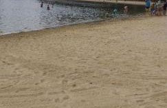 Le Cottage de L Abbaye - Photo 49