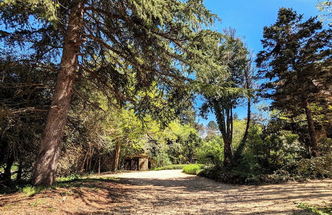 BONFARTO LOCATIONS - Foto 66