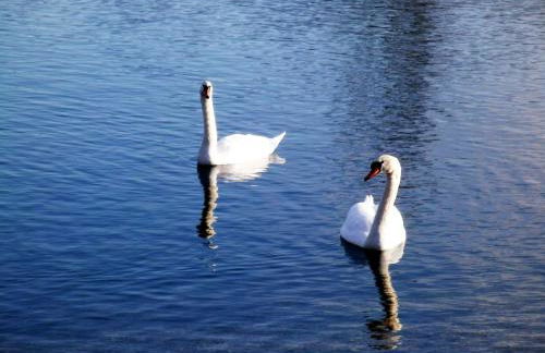 Ferienwohnung Casa Di Lago 2 - Foto 28