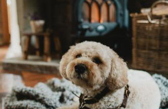 Lodge Cottage, Castleton - Foto 49