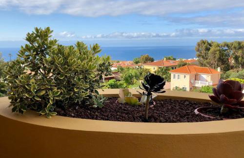 Terraza vista océano La Quinta - Photo 11