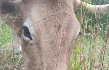 studio 24M, cool les Orres 1650 - Photo 32