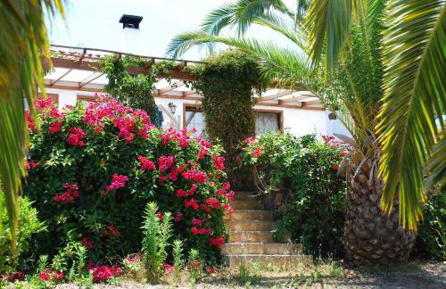 Casas Erel - Foto 11