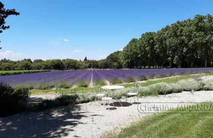 La Chapelle Gite avec piscine chauffee - Foto 24