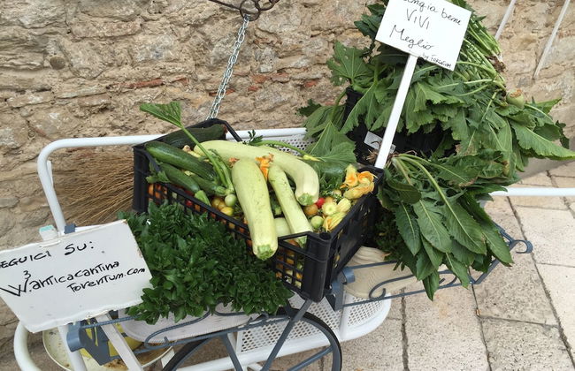 Forentum Suite - Foto 25