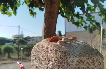 Villa Chryssi - Photo 6