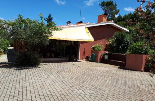 Quintinha dos Cedros - Foto 11