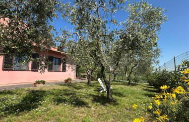 Podere Quercia al Santo - Foto 18