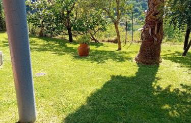 Casa Loureiro - Vista Rio Douro - Foto 11