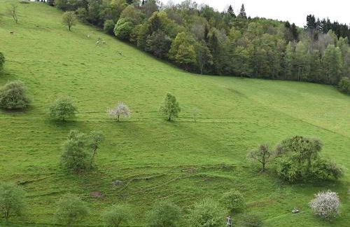 Ferienhaus, Muhlenbach - Foto 38