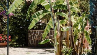 Agriturismo Il Pozzo - Foto 5