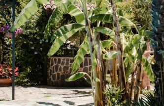 Agriturismo Il Pozzo - Foto 5