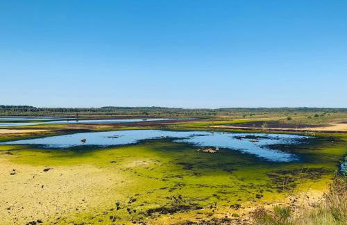 Cosy Concept - nahe Hamburg - Foto 33