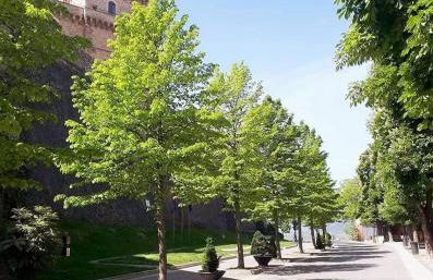 Iris Apartment, Parco Velino Sirente - Foto 31