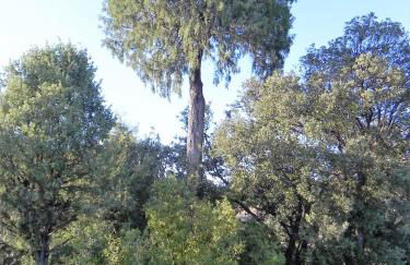 Mas de Muñoz - Foto 7