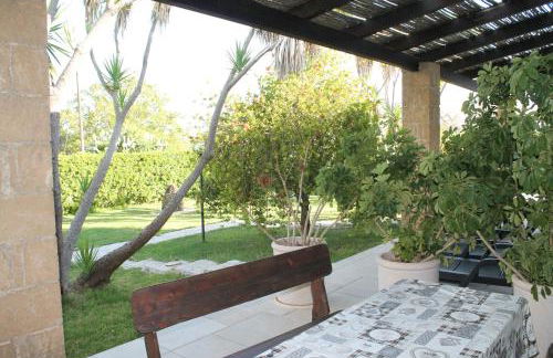 Vecchio Ulivo - Foto 18