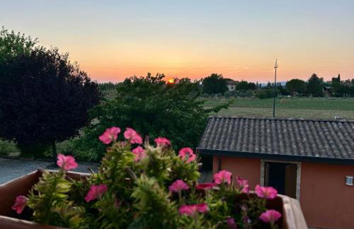 Villa Giulia apartment Assisi - Foto 39
